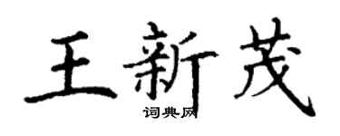 丁謙王新茂楷書個性簽名怎么寫