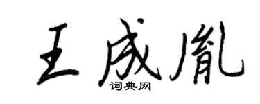 王正良王成胤行書個性簽名怎么寫