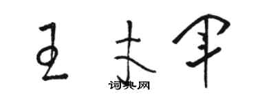 駱恆光王才軍草書個性簽名怎么寫