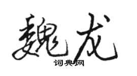 駱恆光魏龍行書個性簽名怎么寫