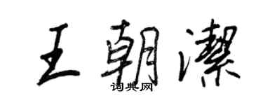 王正良王朝潔行書個性簽名怎么寫