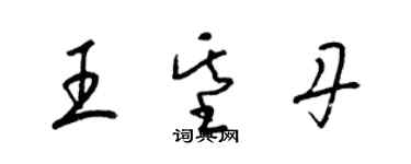 梁錦英王基丹草書個性簽名怎么寫