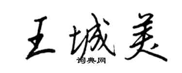 王正良王城美行書個性簽名怎么寫