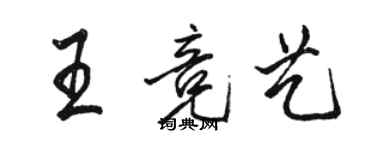 駱恆光王競藝行書個性簽名怎么寫