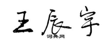 曾慶福王辰宇行書個性簽名怎么寫