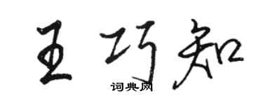 駱恆光王巧知行書個性簽名怎么寫