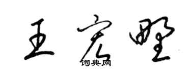 梁錦英王宏野草書個性簽名怎么寫