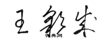 駱恆光王彩成草書個性簽名怎么寫