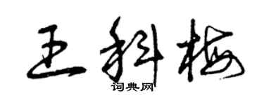 曾慶福王科梅草書個性簽名怎么寫