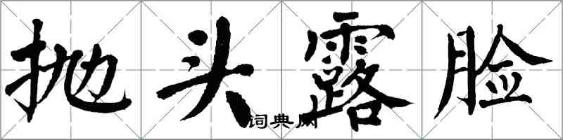 翁闓運拋頭露臉楷書怎么寫