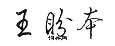 駱恆光王盼本行書個性簽名怎么寫