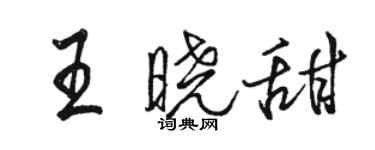 駱恆光王曉甜行書個性簽名怎么寫