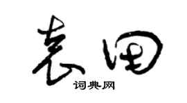 曾慶福袁田草書個性簽名怎么寫