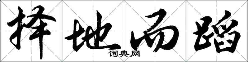 胡問遂擇地而蹈行書怎么寫