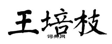 翁闓運王培枝楷書個性簽名怎么寫