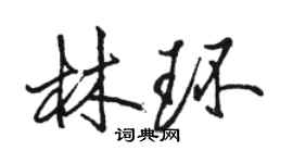 駱恆光林環行書個性簽名怎么寫