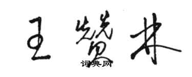 駱恆光王贊林草書個性簽名怎么寫