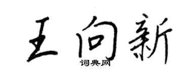 王正良王向新行書個性簽名怎么寫