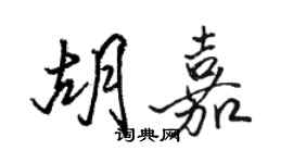 駱恆光胡嘉行書個性簽名怎么寫