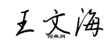 王正良王文海行書個性簽名怎么寫