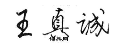 駱恆光王真誠行書個性簽名怎么寫