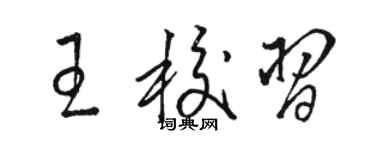 駱恆光王校習草書個性簽名怎么寫