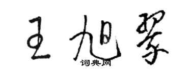 駱恆光王旭翠草書個性簽名怎么寫