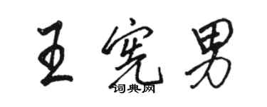 駱恆光王憲男行書個性簽名怎么寫