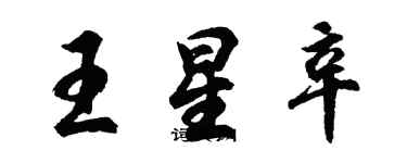 胡問遂王星辛行書個性簽名怎么寫