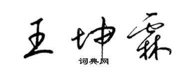 梁錦英王坤霖草書個性簽名怎么寫