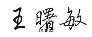 駱恆光王曙敏行書個性簽名怎么寫