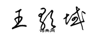 梁錦英王歌域草書個性簽名怎么寫