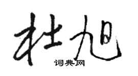 駱恆光杜旭草書個性簽名怎么寫