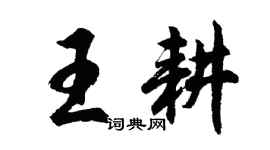 胡問遂王耕行書個性簽名怎么寫