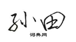 駱恆光孫田行書個性簽名怎么寫