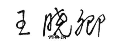 駱恆光王曉卿草書個性簽名怎么寫