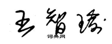 朱錫榮王智瑜草書個性簽名怎么寫