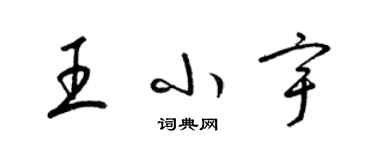 梁錦英王小宇草書個性簽名怎么寫