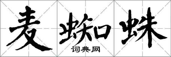 翁闓運麥蜘蛛楷書怎么寫