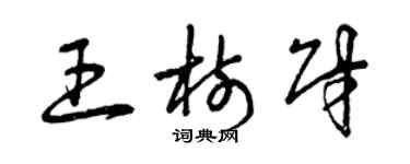 曾慶福王樹財草書個性簽名怎么寫