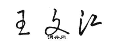 駱恆光王文江草書個性簽名怎么寫