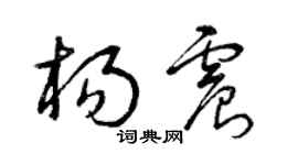曾慶福楊震草書個性簽名怎么寫