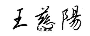 王正良王慈陽行書個性簽名怎么寫