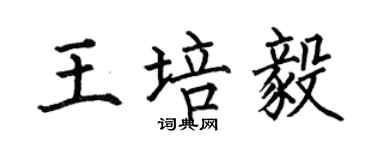 何伯昌王培毅楷書個性簽名怎么寫