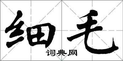 翁闓運細毛楷書怎么寫