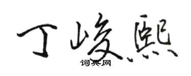 駱恆光丁峻熙行書個性簽名怎么寫