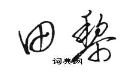 駱恆光田黎草書個性簽名怎么寫