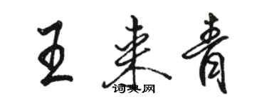 駱恆光王來青行書個性簽名怎么寫