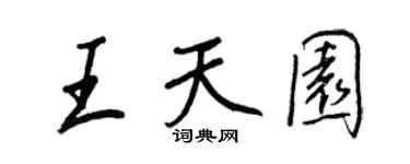 王正良王天園行書個性簽名怎么寫