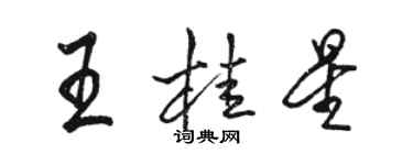 駱恆光王桂星行書個性簽名怎么寫